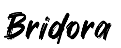 Bridora - logo